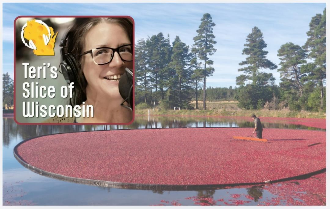 Tiny Native Berry Means Big Business for Wisconsin